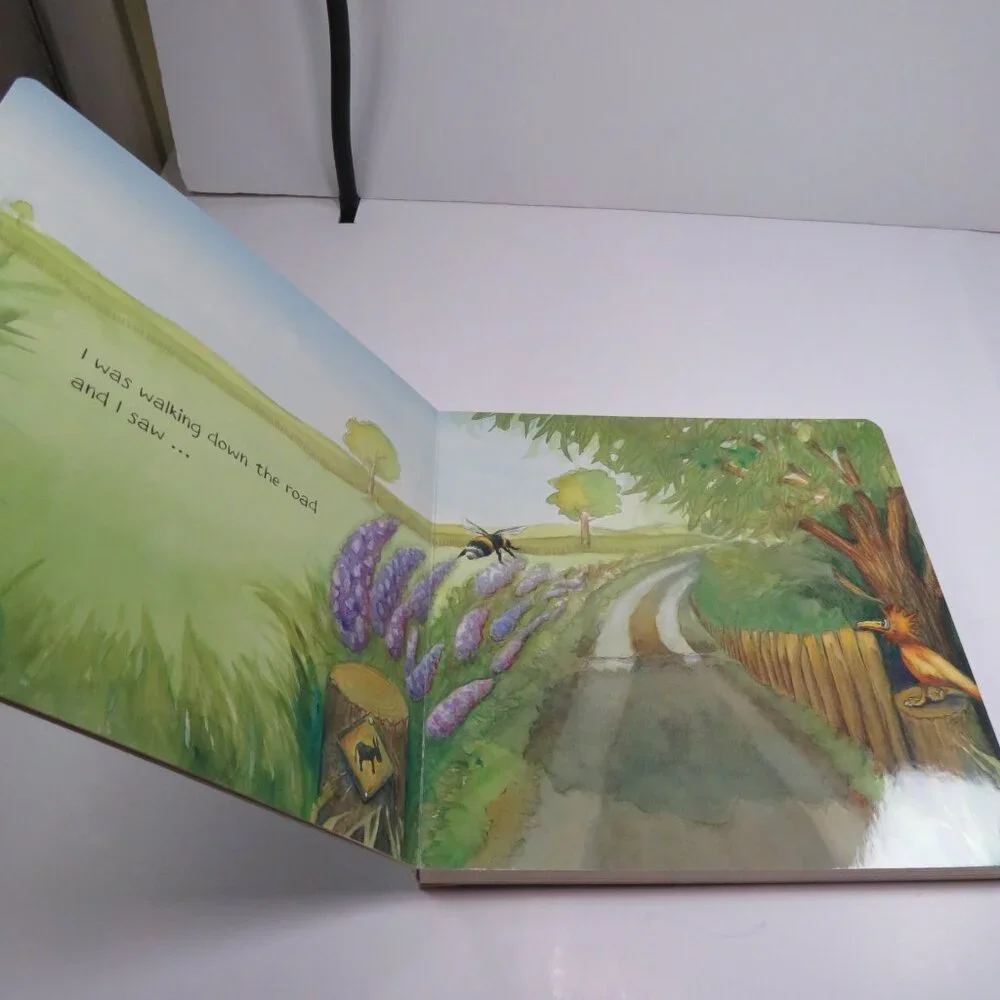 Wonky Donkey Scholastic Board Book 24pgs LARGE Disability Handicap
